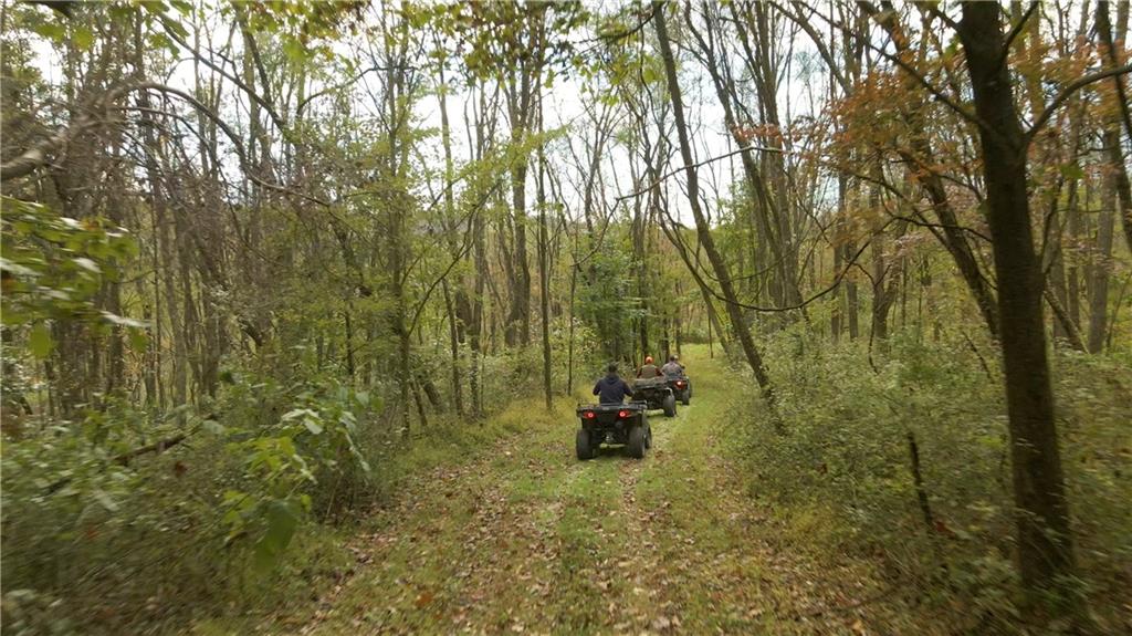 4038 State Route 156 Avonmore, PA 15618 - Photo 41 of 50 a view of outdoor space with trees