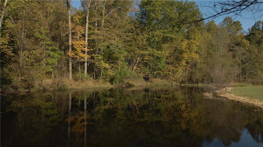 4038 State Route 156 Avonmore, PA 15618 - Photo 44 of 50