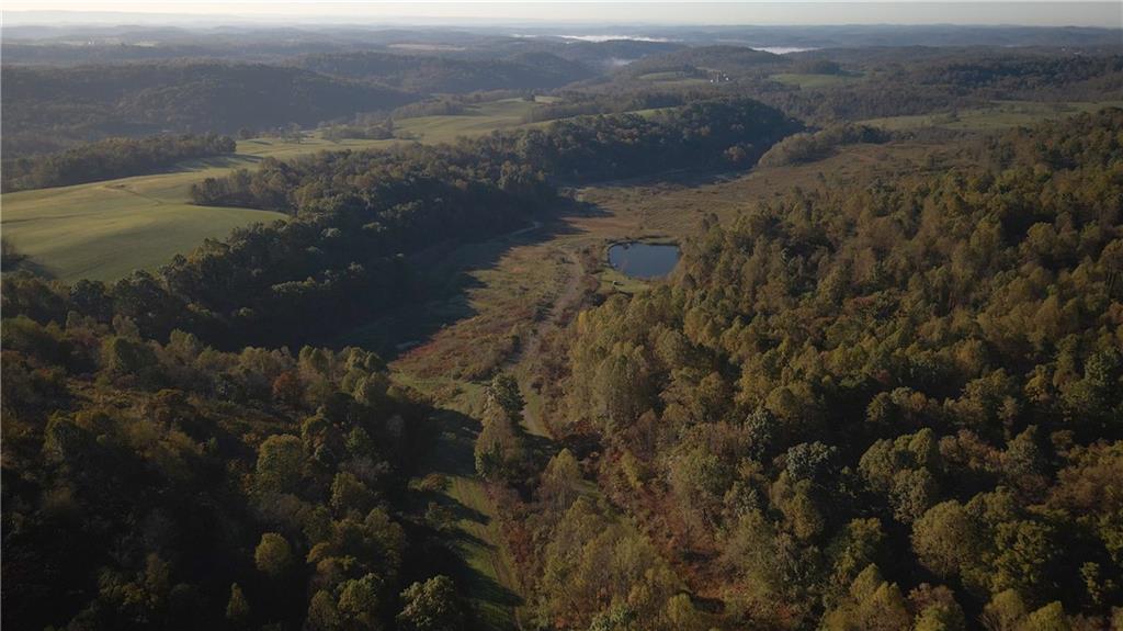 4038 State Route 156 Avonmore, PA 15618 - Photo 47 of 50 a view of lake