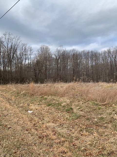 0 Paynes Road Penhook, VA 24137 - Photo 2 of 2 a view of yard covered with snow