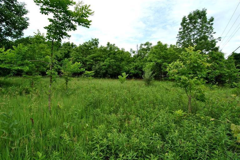 12238 Bowman Road Independence, KY 41051 - Photo 6 of 9