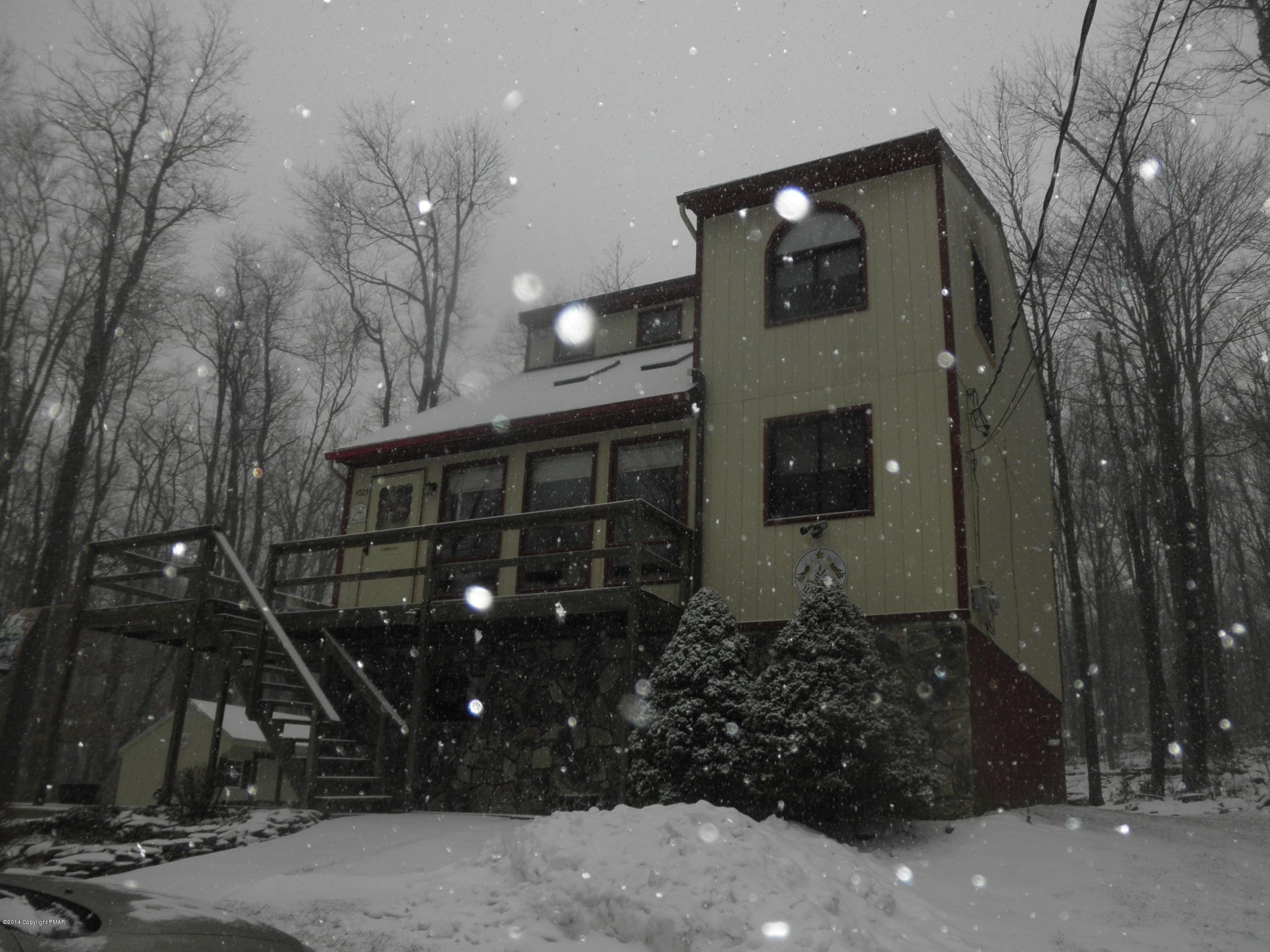 It's even pretty in the Snow!