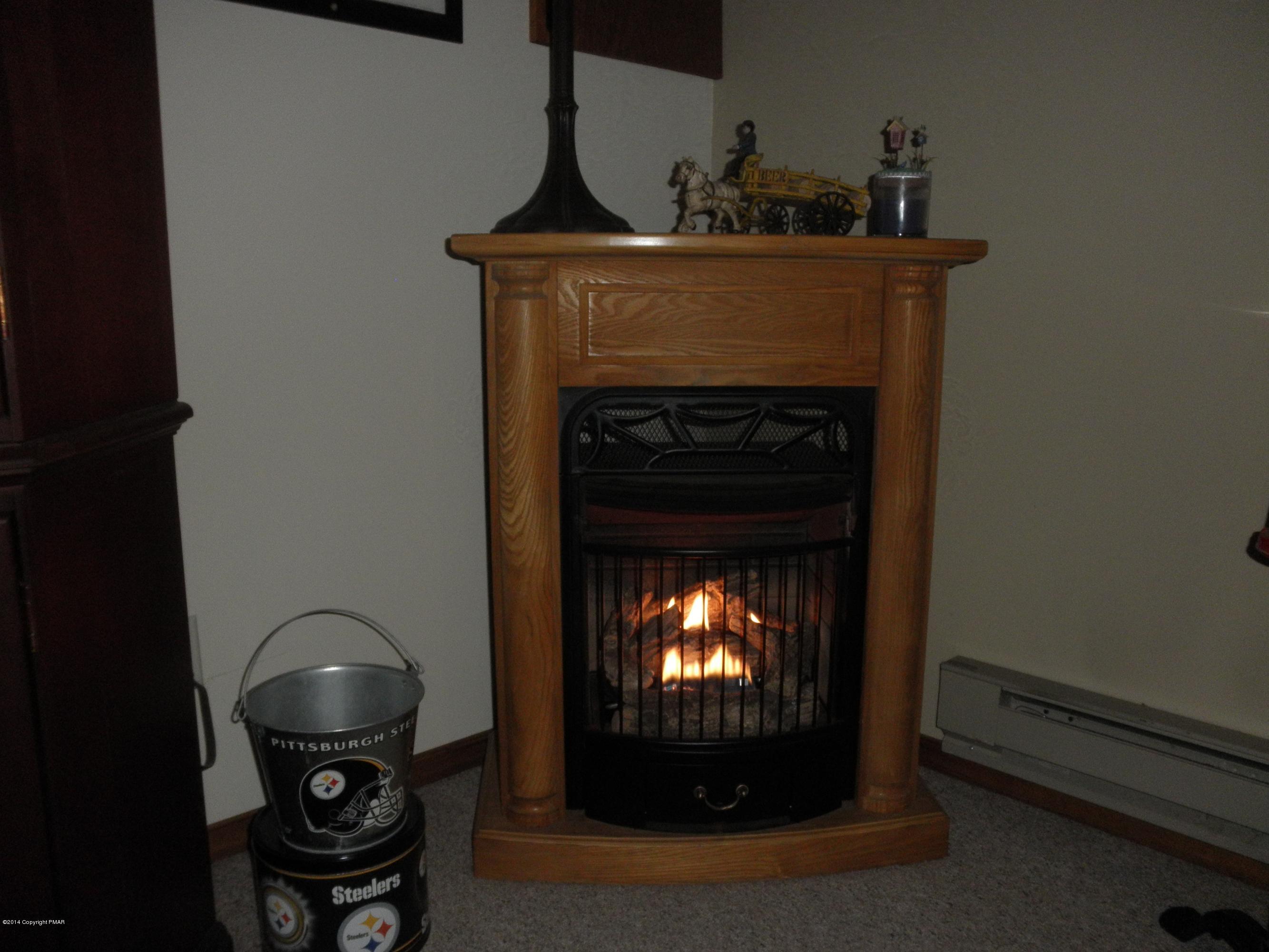 1025 Ridge Road Newfoundland, PA 18445 - Photo 40 of 45 Free standing Corner Propane Fireplace
