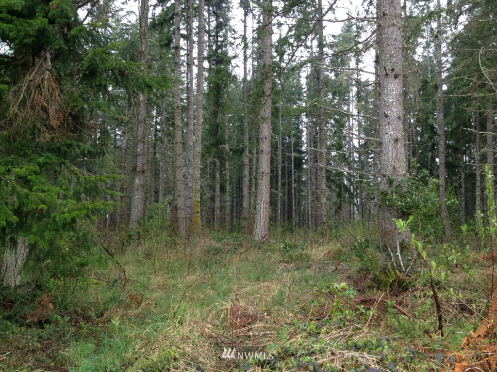 -xxx Center Road Chimacum, WA 98325 - Photo 2 of 6
