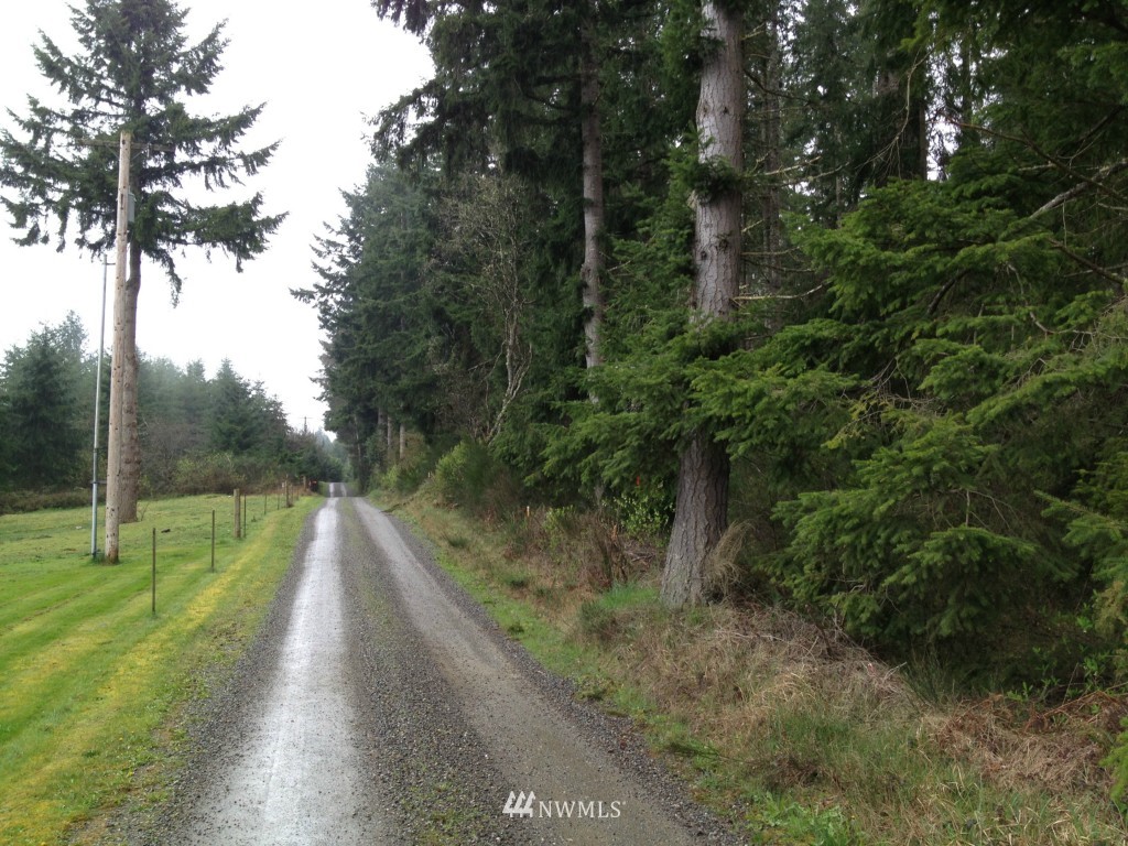 -xxx Center Road Chimacum, WA 98325 - Photo 3 of 6