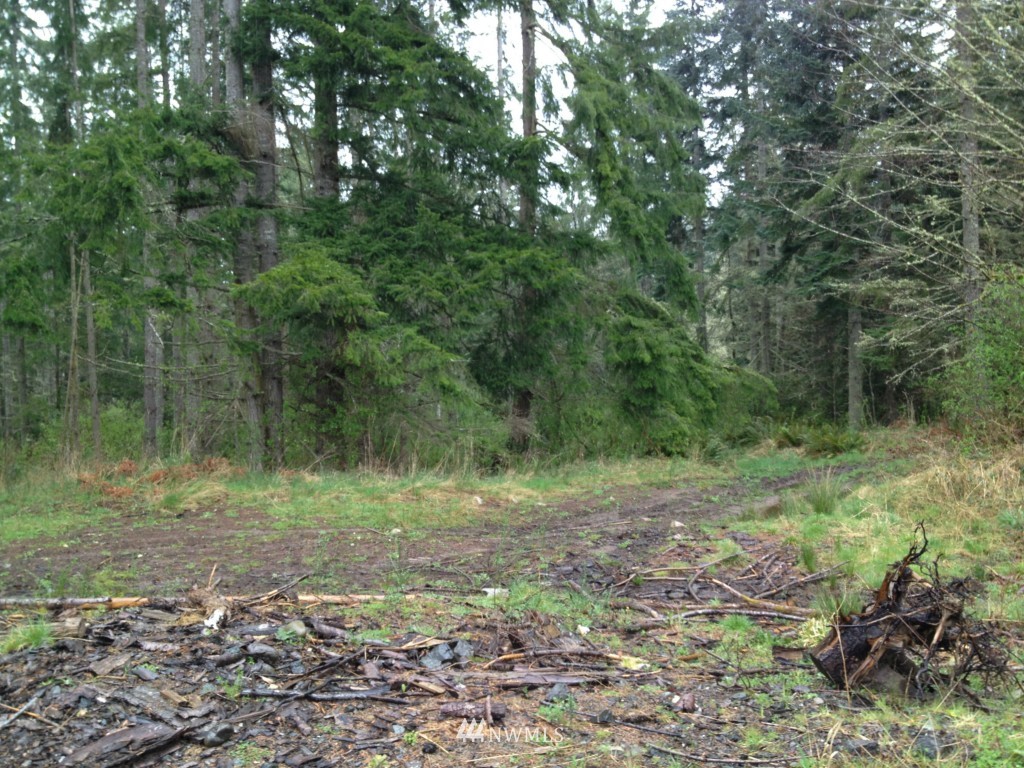 -xxx Center Road Chimacum, WA 98325 - Photo 6 of 6