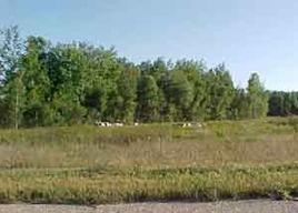 W4047 Lily Pond Road Washington, WI 54111 - Photo 1 of 1