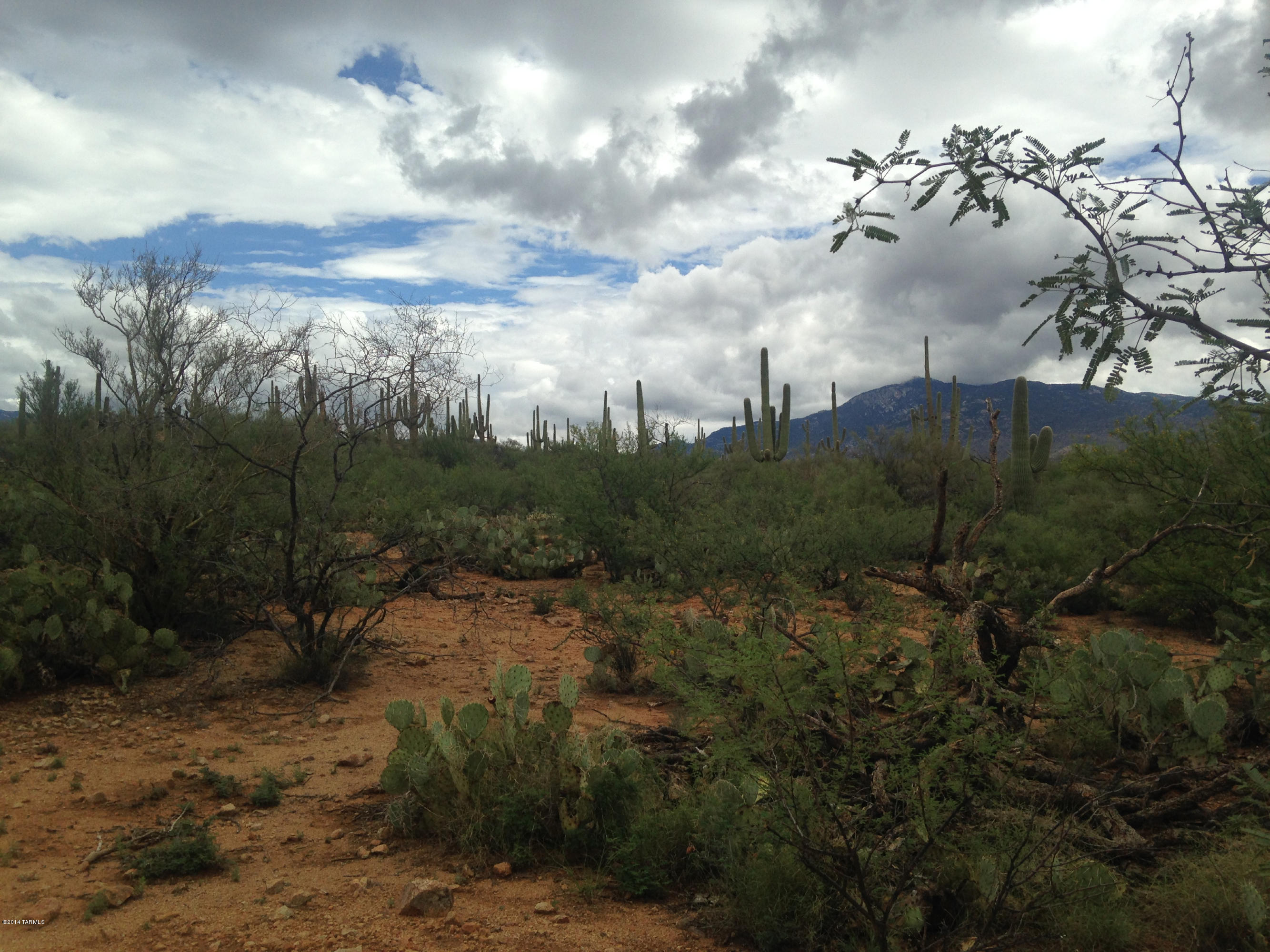 0 Rolling Tumbleweed Road, Unit 2 Vail, AZ 85641 - Photo 1 of 4 Gallery Image 1