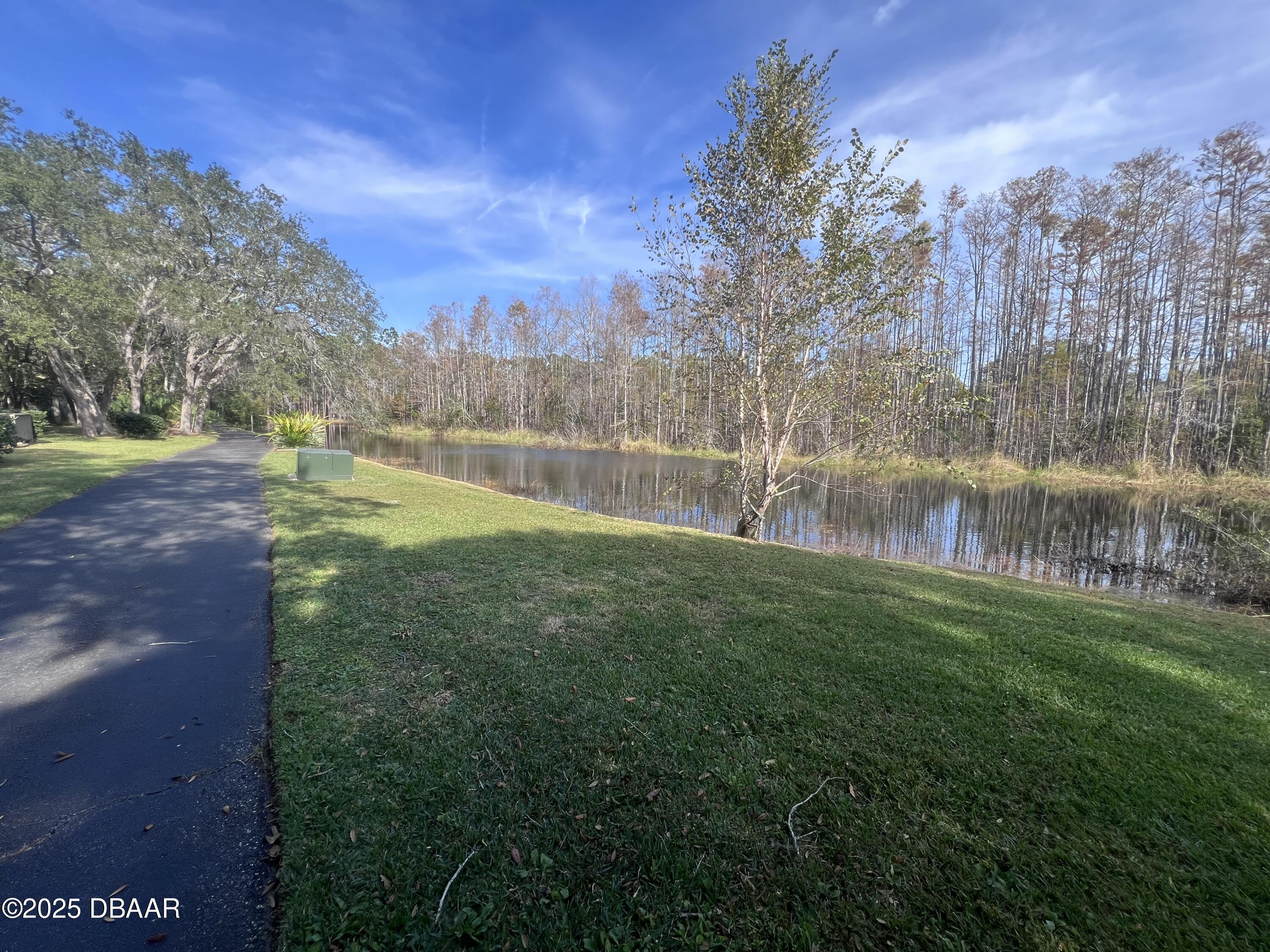80 Cypress Pond Road Port Orange, FL 32128 - Photo 30 of 31 a view of a park with large trees