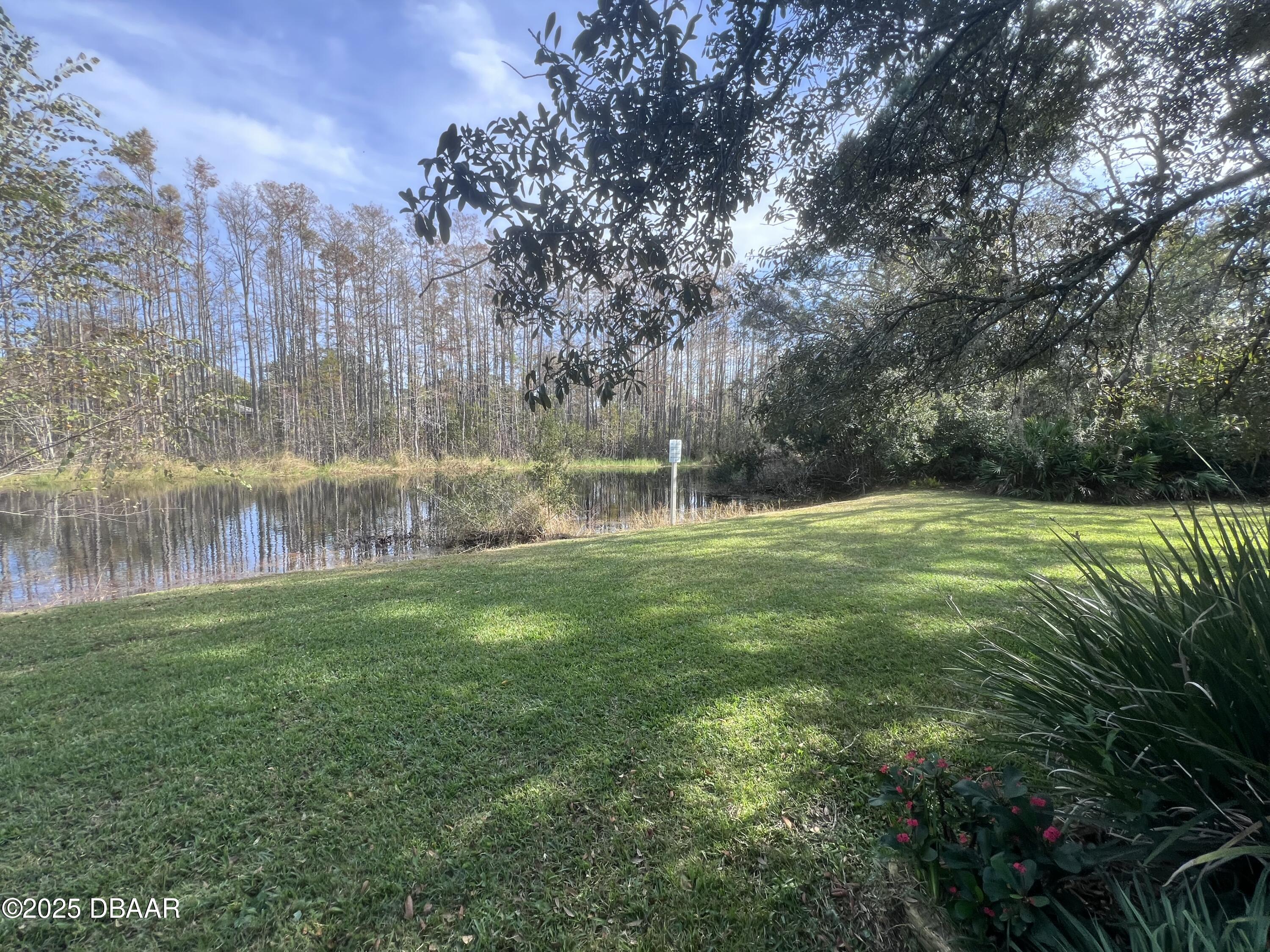 80 Cypress Pond Road Port Orange, FL 32128 - Photo 31 of 31 a view of a park with large trees