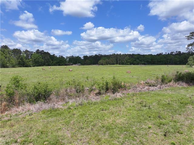 0 Hubert Stilley Road Independence, LA 70443 - Photo 11 of 37