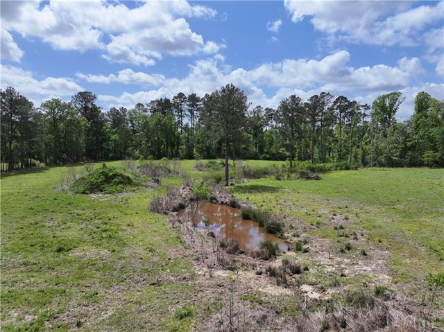 0 Hubert Stilley Road Independence, LA 70443 - Photo 12 of 37