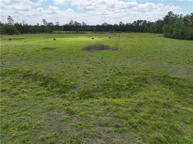0 Hubert Stilley Road Independence, LA 70443 - Photo 15 of 37