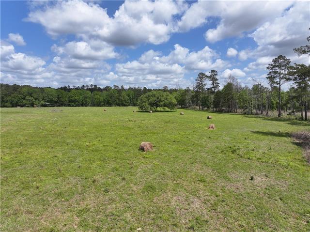 0 Hubert Stilley Road Independence, LA 70443 - Photo 16 of 37