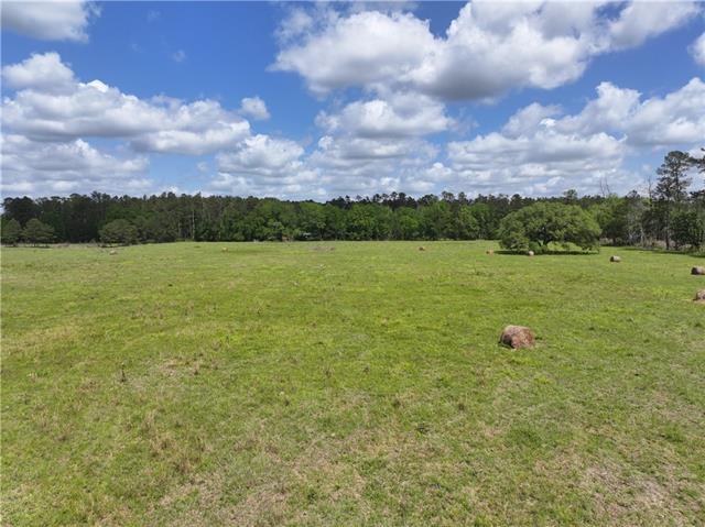 0 Hubert Stilley Road Independence, LA 70443 - Photo 19 of 37