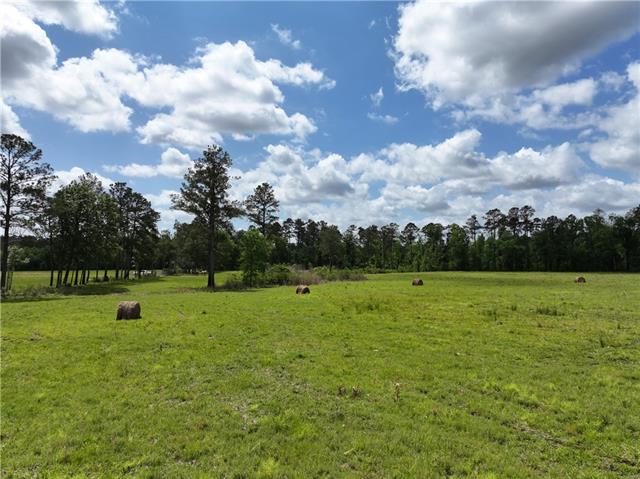 0 Hubert Stilley Road Independence, LA 70443 - Photo 20 of 37
