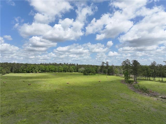 0 Hubert Stilley Road Independence, LA 70443 - Photo 2 of 37