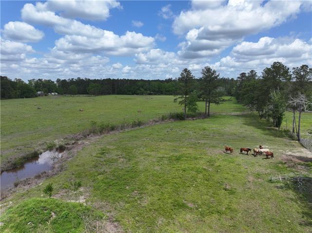 0 Hubert Stilley Road Independence, LA 70443 - Photo 21 of 37