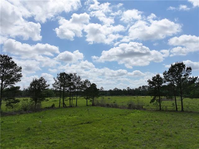 0 Hubert Stilley Road Independence, LA 70443 - Photo 23 of 37