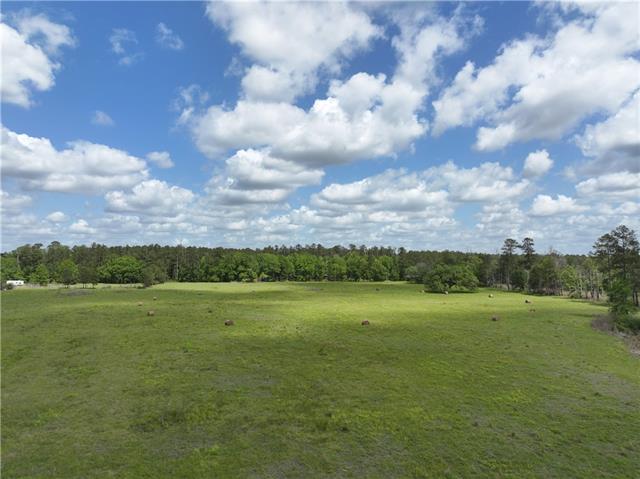 0 Hubert Stilley Road Independence, LA 70443 - Photo 24 of 37