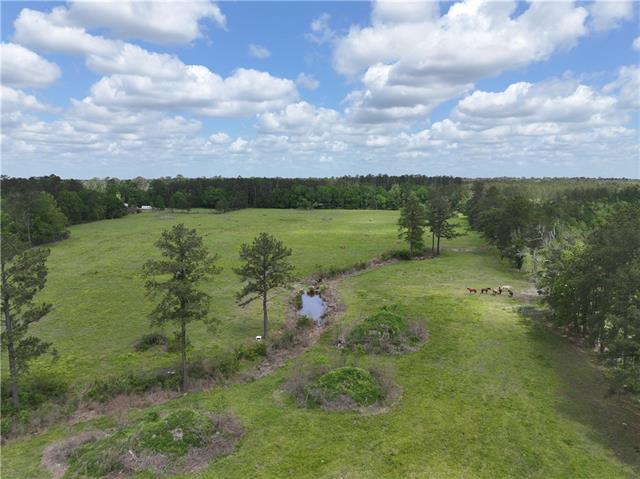 0 Hubert Stilley Road Independence, LA 70443 - Photo 25 of 37