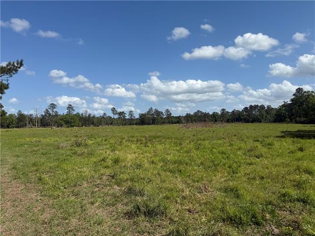 0 Hubert Stilley Road Independence, LA 70443 - Photo 26 of 37