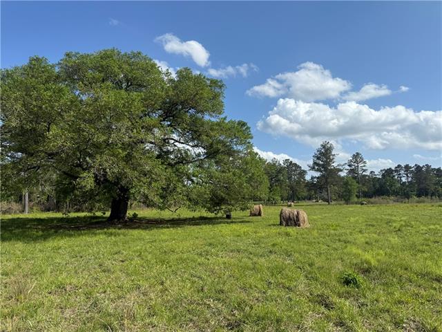 0 Hubert Stilley Road Independence, LA 70443 - Photo 27 of 37