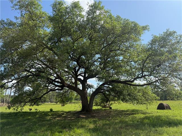 0 Hubert Stilley Road Independence, LA 70443 - Photo 28 of 37