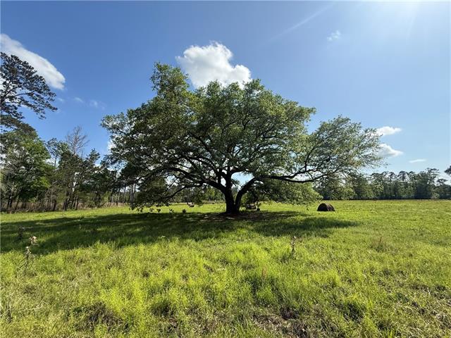 0 Hubert Stilley Road Independence, LA 70443 - Photo 29 of 37