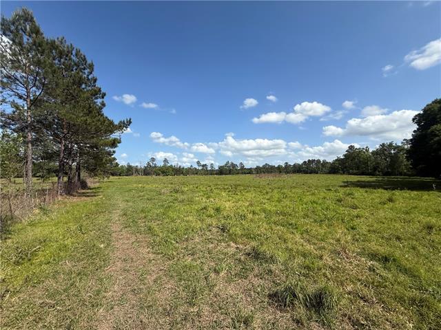 0 Hubert Stilley Road Independence, LA 70443 - Photo 32 of 37
