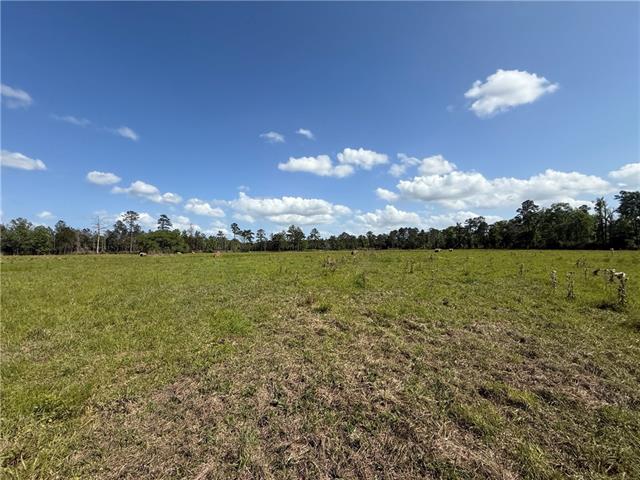 0 Hubert Stilley Road Independence, LA 70443 - Photo 33 of 37