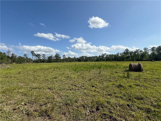 0 Hubert Stilley Road Independence, LA 70443 - Photo 34 of 37