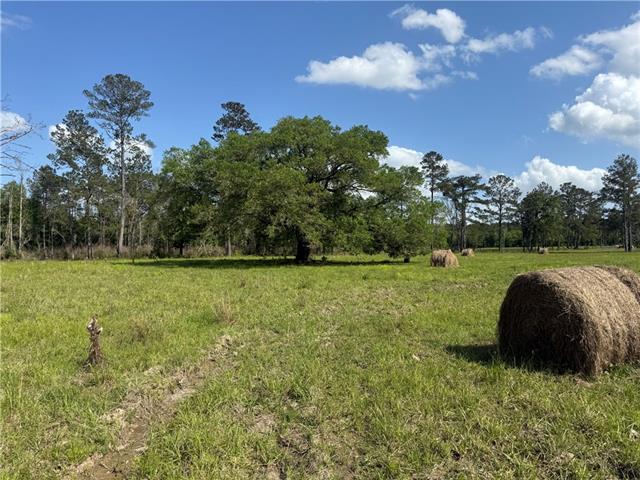 0 Hubert Stilley Road Independence, LA 70443 - Photo 35 of 37