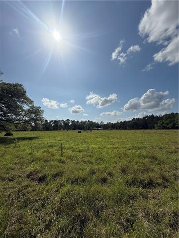 0 Hubert Stilley Road Independence, LA 70443 - Photo 36 of 37