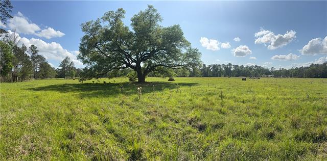 0 Hubert Stilley Road Independence, LA 70443 - Photo 37 of 37