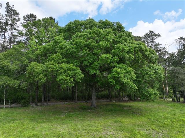 0 Hubert Stilley Road Independence, LA 70443 - Photo 6 of 37