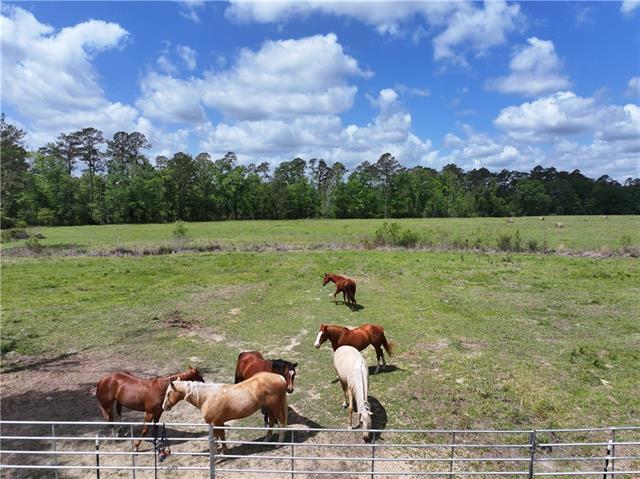0 Hubert Stilley Road Independence, LA 70443 - Photo 7 of 37
