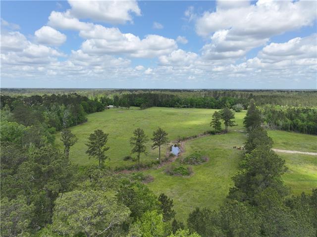 0 Hubert Stilley Road Independence, LA 70443 - Photo 9 of 37