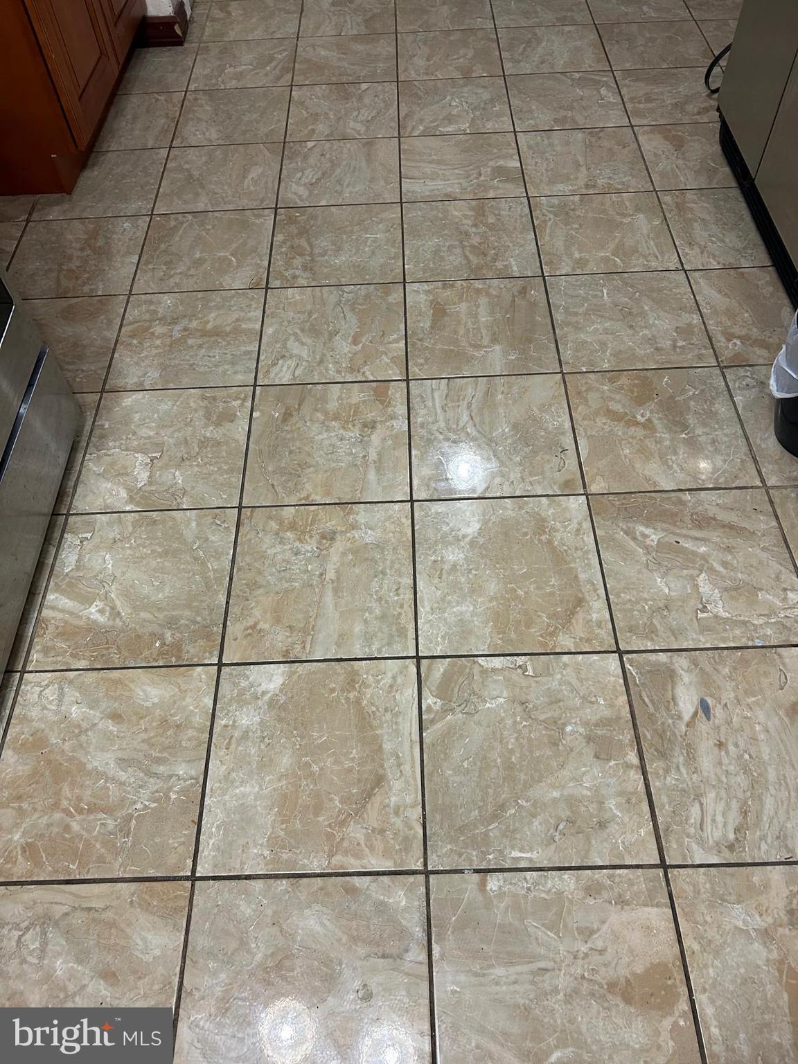 547 Baeder Road Jenkintown, PA 19046 - Photo 4 of 13 a bathroom with a shower