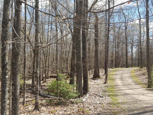 Lot 1 West Carpenter Lake Road Eagle River, WI 54521 - Photo 1 of 17 Gallery Image 1