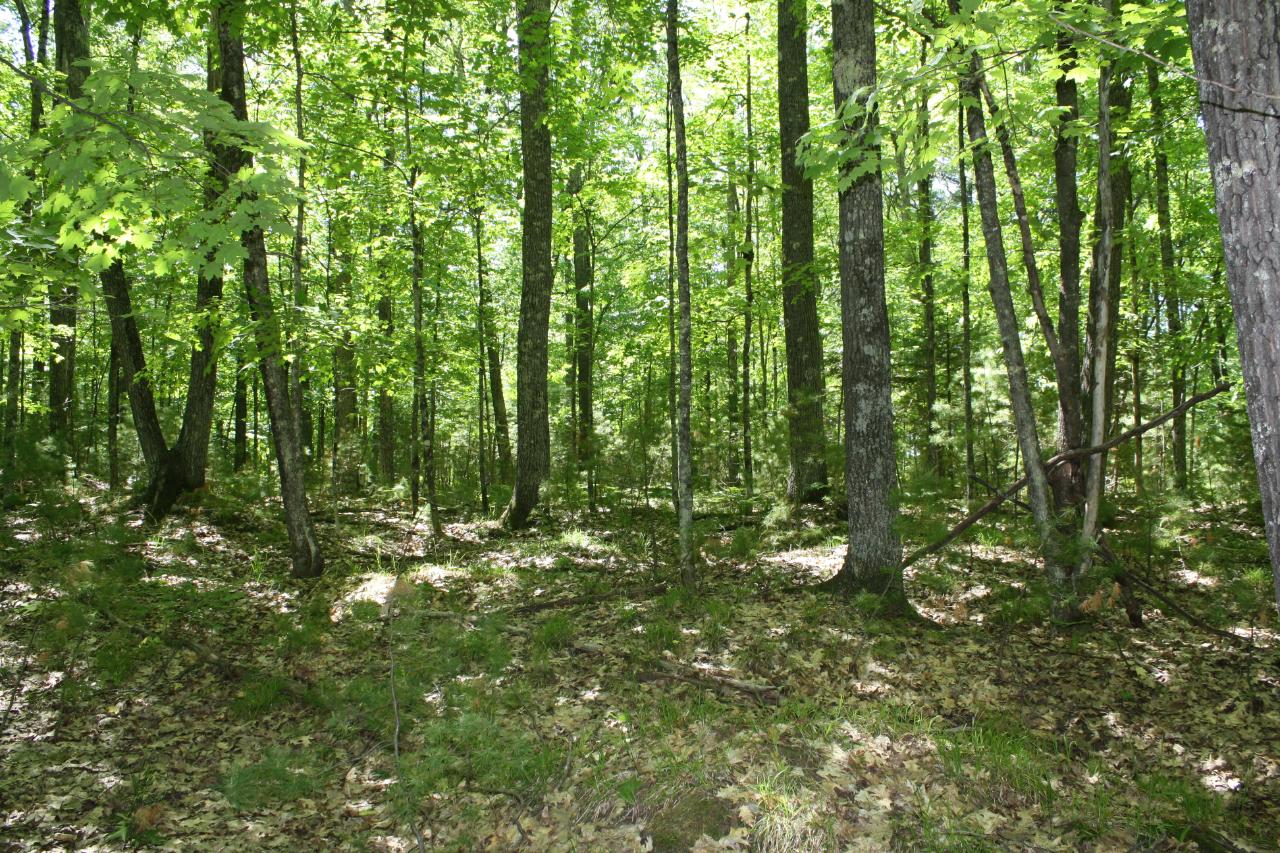 On Interlocken Road, Unit HA25811 Hazelhurst, WI 54531 - Photo 20 of 26 Gallery Image 20