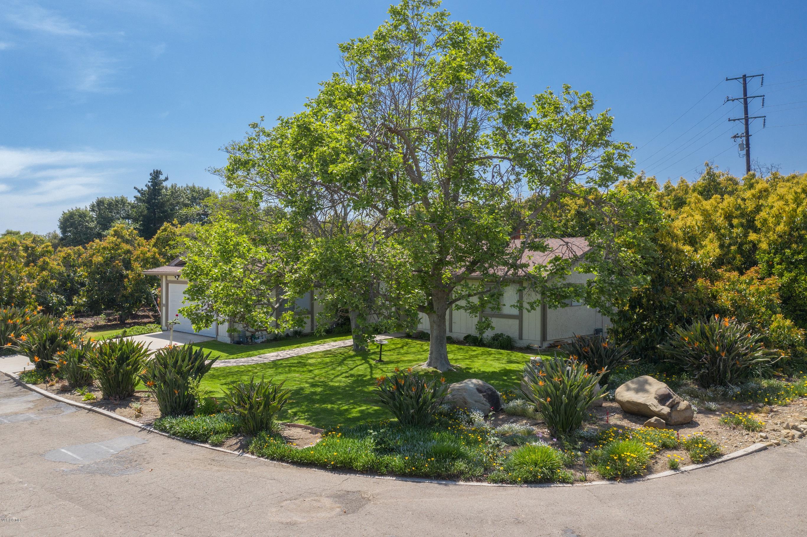 3521 Sycamore Road Fillmore, CA 93015 - Photo 14 of 23 3521 Sycamore-1-5