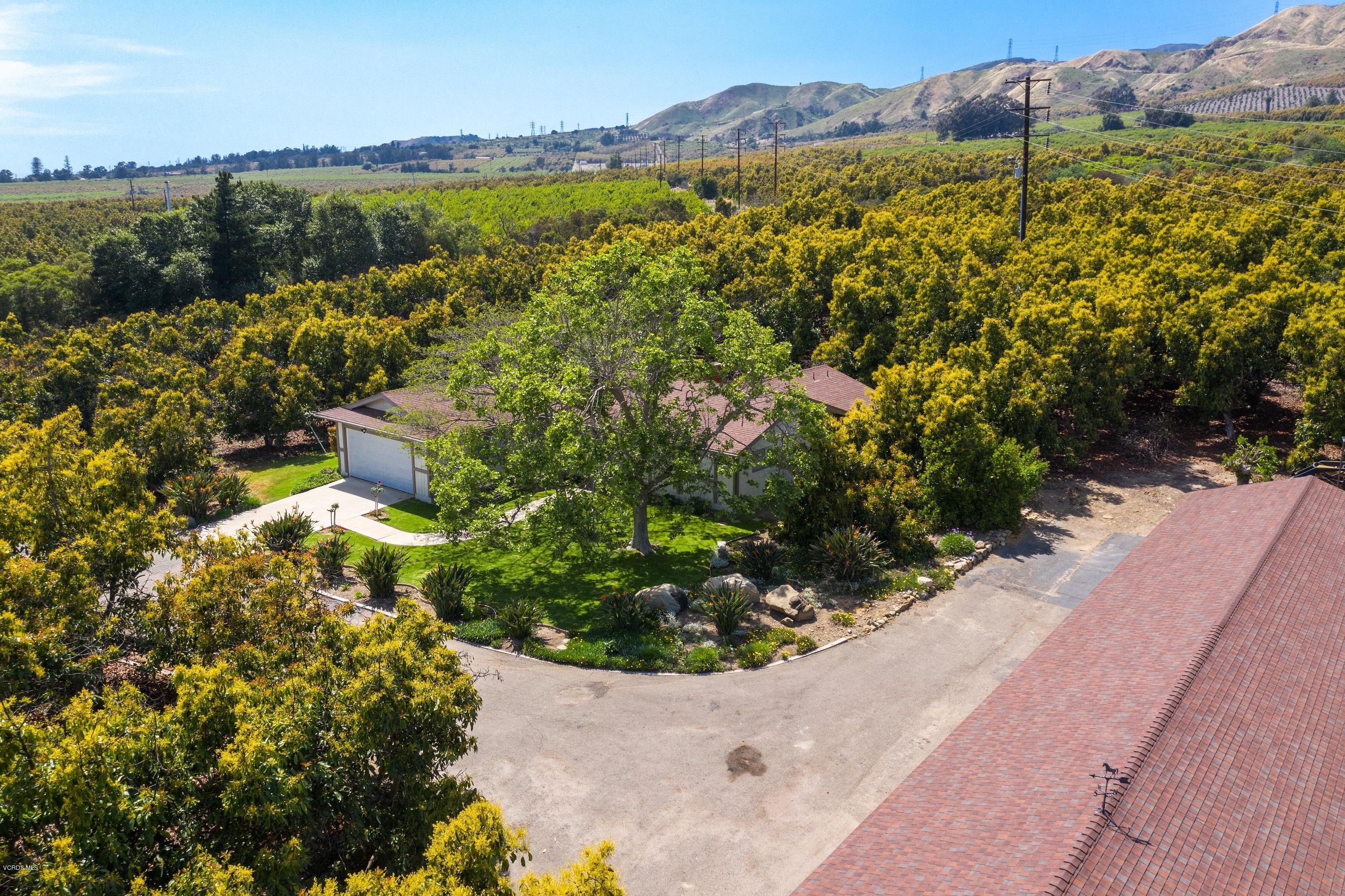 3521 Sycamore Road Fillmore, CA 93015 - Photo 15 of 23 3521 Sycamore-1-17