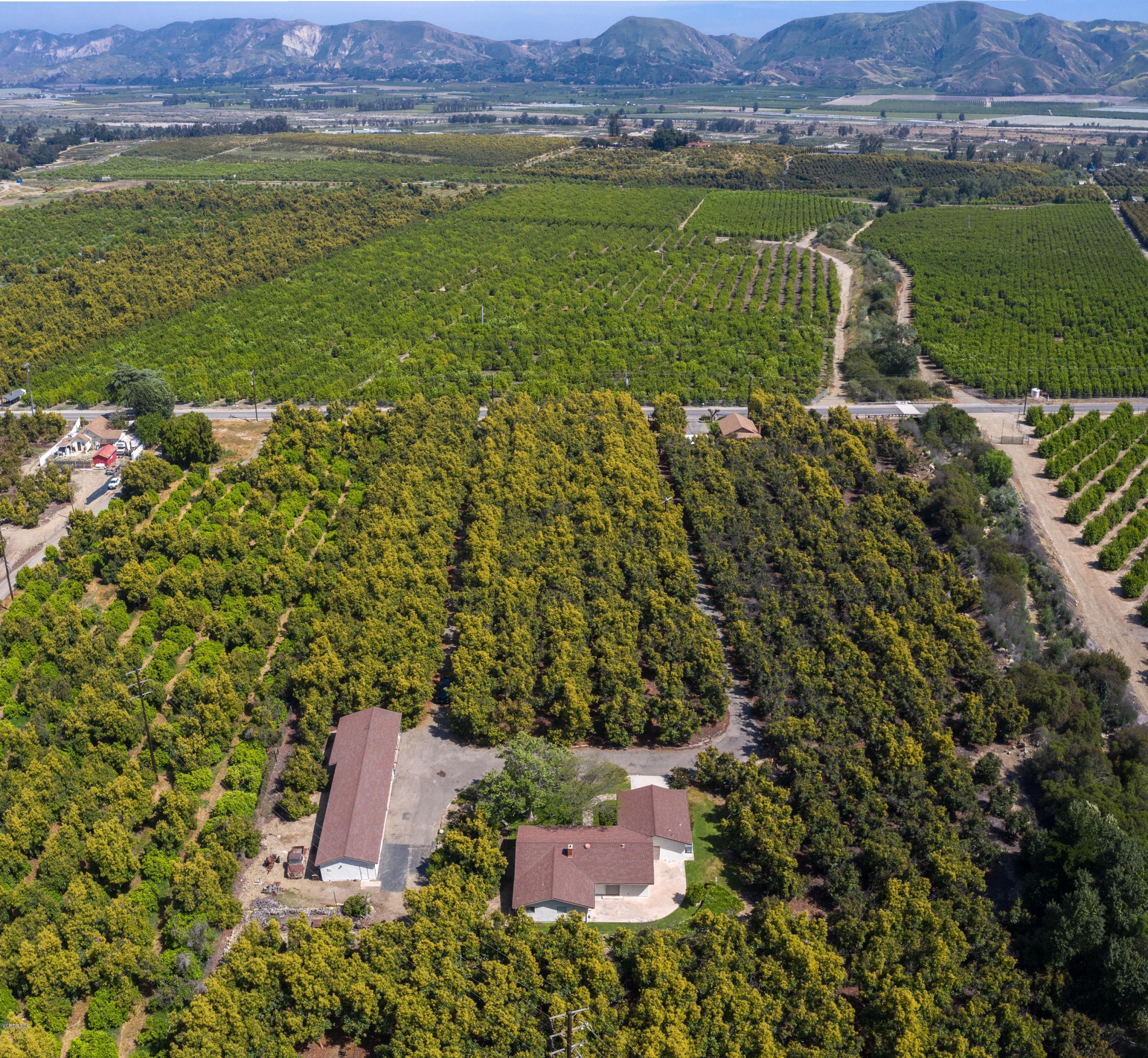 3521 Sycamore Road Fillmore, CA 93015 - Photo 17 of 23 3521 Sycamore-1-14