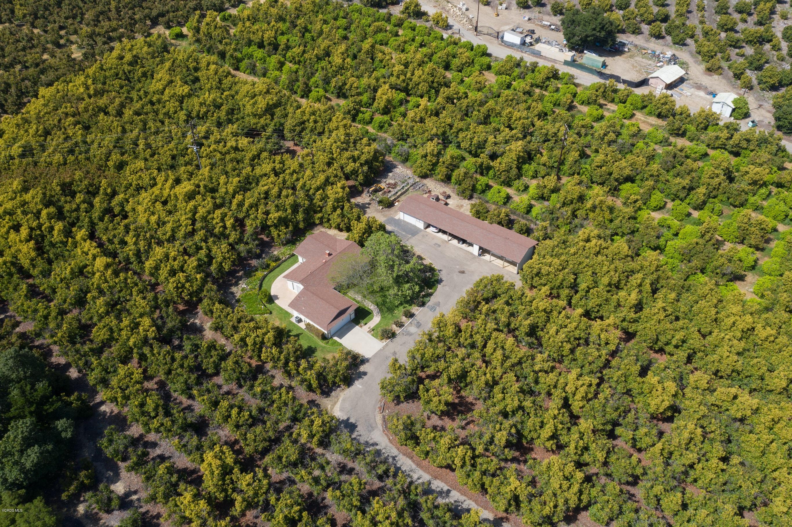 3521 Sycamore Road Fillmore, CA 93015 - Photo 18 of 23 3521 Sycamore-1-19
