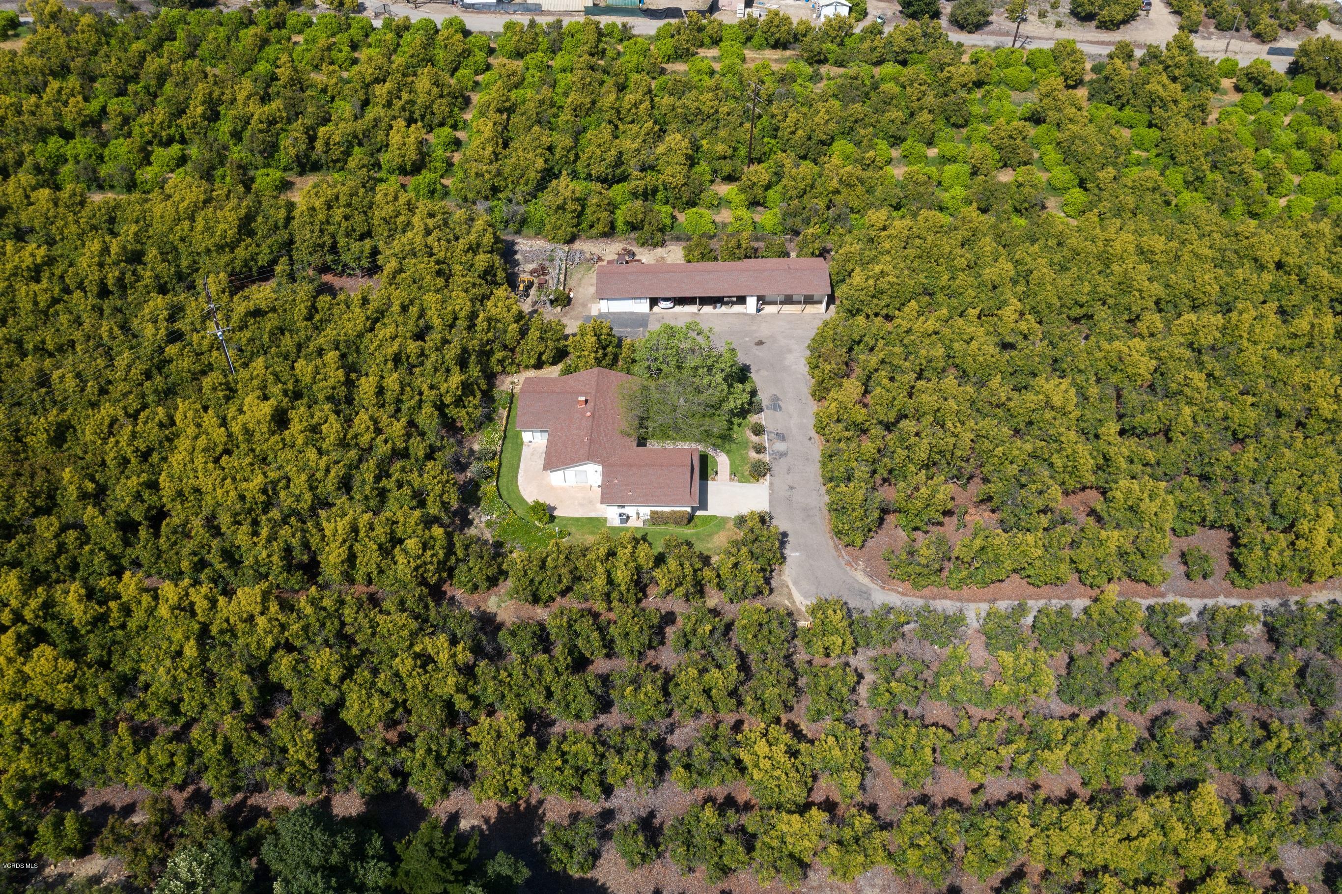 3521 Sycamore Road Fillmore, CA 93015 - Photo 19 of 23 3521 Sycamore-1-20