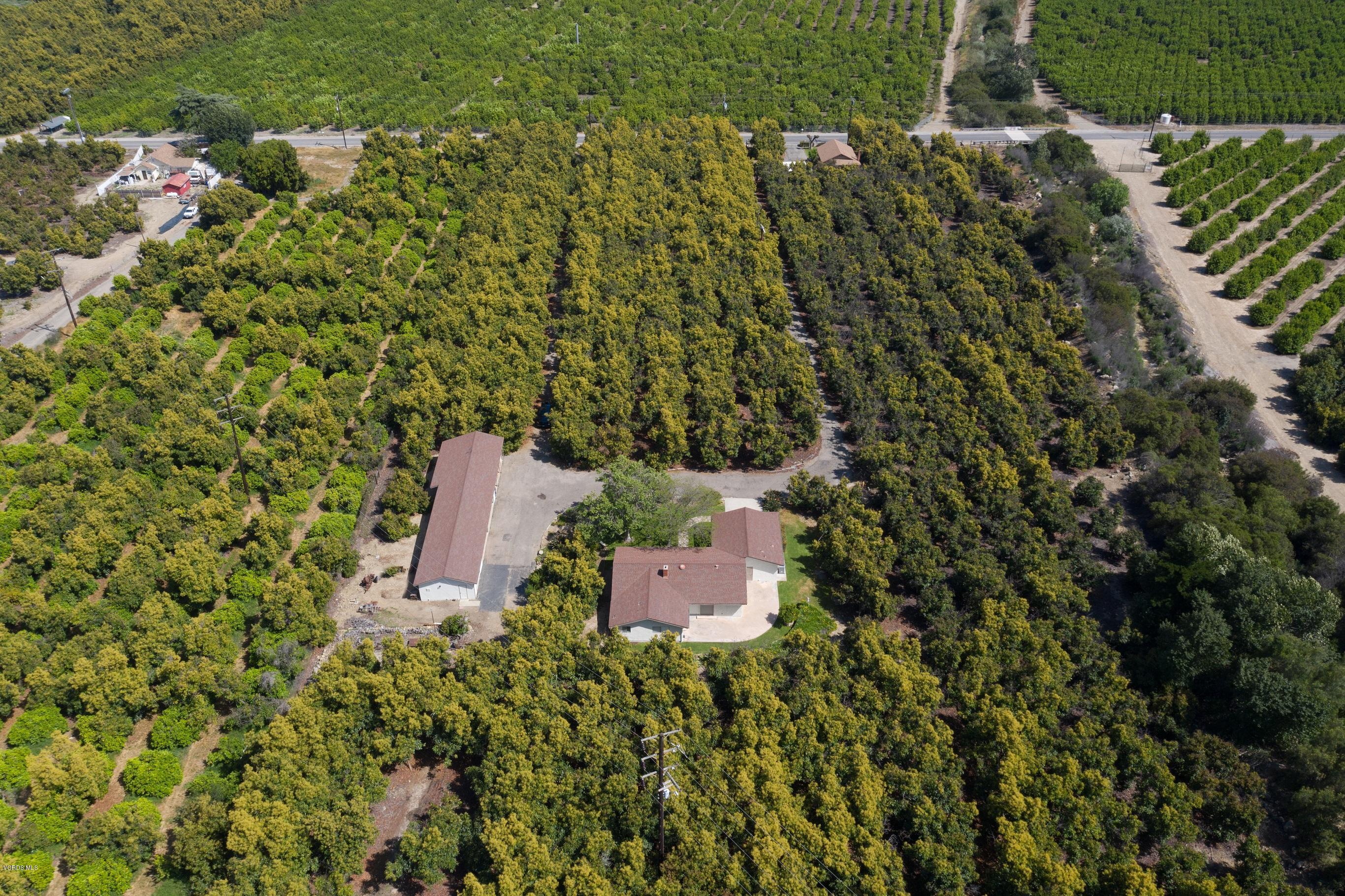 3521 Sycamore Road Fillmore, CA 93015 - Photo 5 of 23 3521 Sycamore-1-27