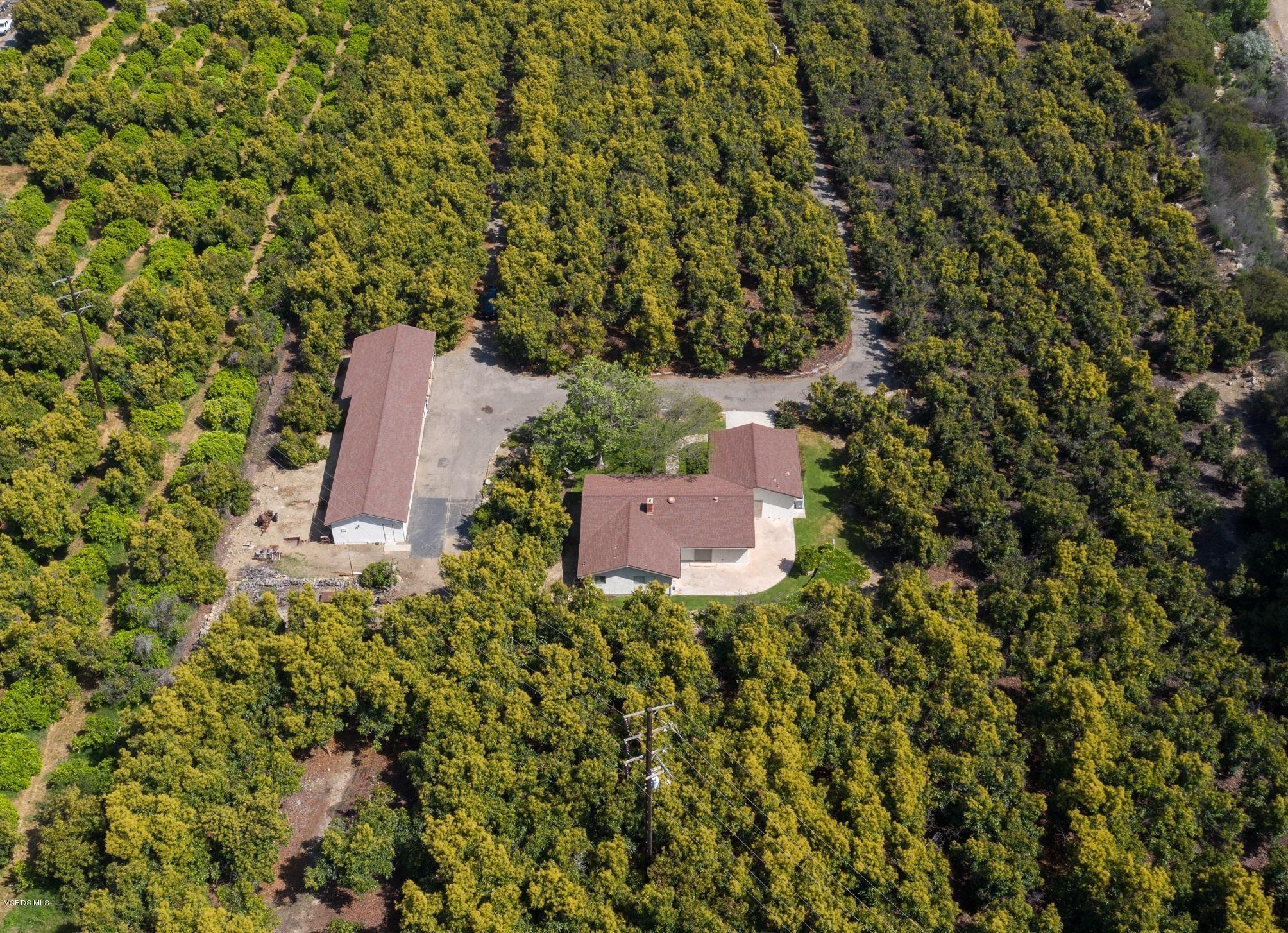 3521 Sycamore Road Fillmore, CA 93015 - Photo 6 of 23 3521 Sycamore-1-28