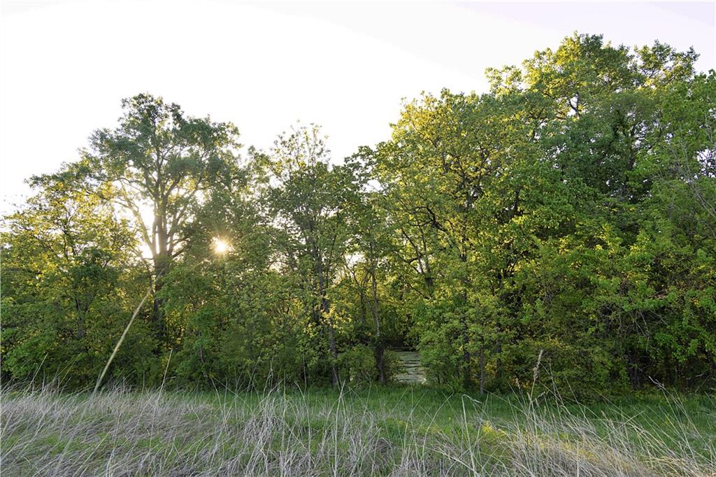 Offutt Road Maysville, MO 64469 - Photo 65 of 73 Gallery Image 65