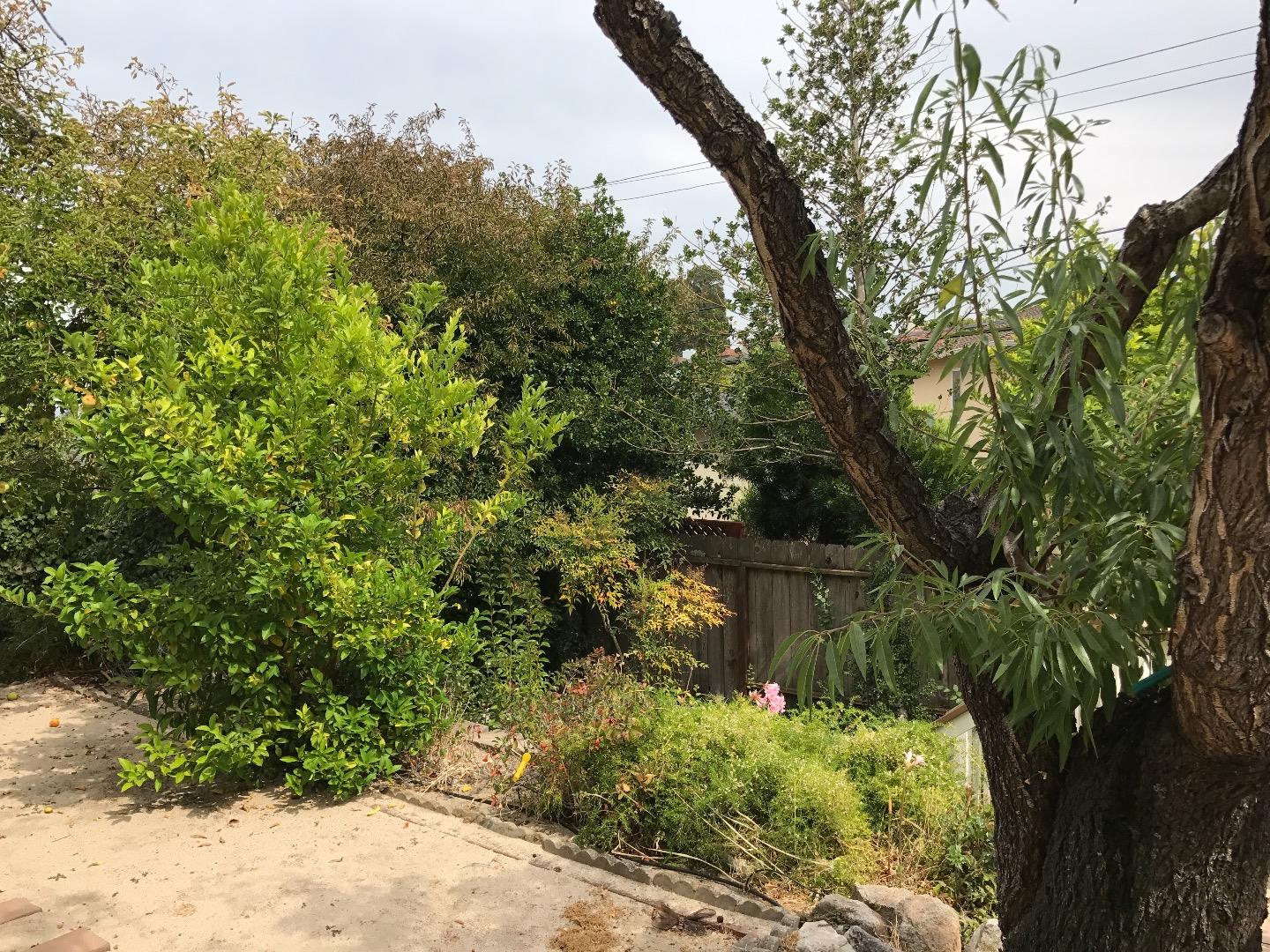 339 Paramount Drive Millbrae, CA 94030 - Photo 14 of 14 a backyard of a house with lots of green space
